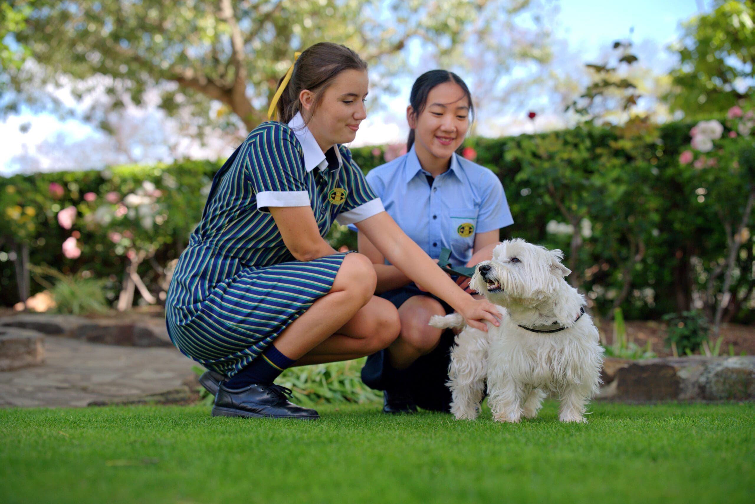 two students with a pembroke wellbeing dog