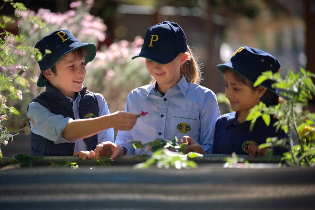 Junior School students with garden bed Nov 25